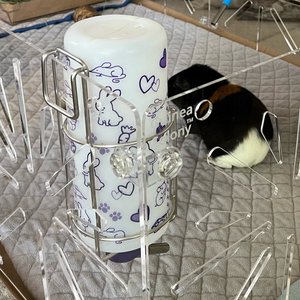 Critter Colony Club Water Bottle Holder