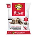 Dr. Elsey's Cat Attract Clumping Clay Cat Litter, 40-lb bag