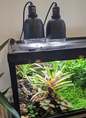 Show full view: Reptile Systems Ceramic Reptile Clamp Lamp, Black, 75W slide 7 of 8