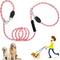 Show in main carousel: SlowTon Hands-Free Nylon Dog Leash, 10-ft long, 1/2-in wide, Pink slide 1 of 8