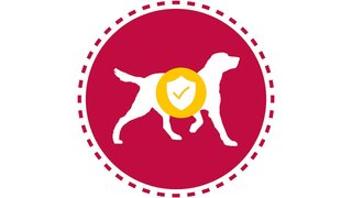 First-of-its-kind treatment