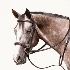 Nunn Finer Florence Horse Bridle, Havana, Cob
