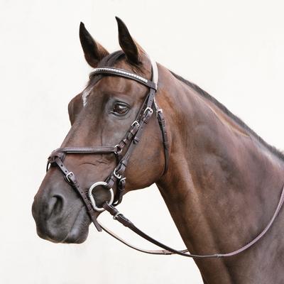 Show full view: Nunn Finer Clincher Horse Browband, Black with Brass, Horse slide 2 of 5