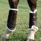 Show in main carousel: Nunn Finer Capriole Brushing Horse Boots, Brown, Front Medium, 2 count slide 4 of 5