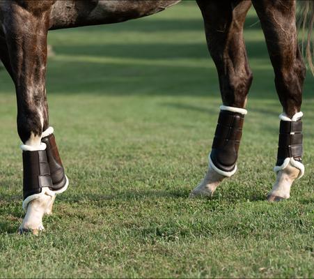 Show full view: Nunn Finer Capriole Brushing Horse Boots, Brown, Front Medium, 2 count slide 5 of 5