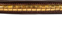 Nunn Finer Clincher Horse Browband, Havana with Brass, Horse slide 2 of 5