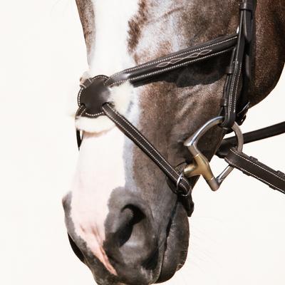 Show full view: Nunn Finer Stefania Figure 8 Horse Bridle, Havana, Oversize slide 2 of 8