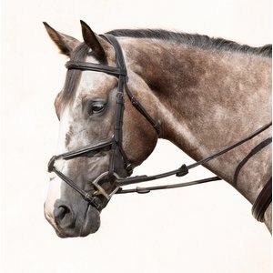 Nunn Finer Stefania Figure 8 Horse Bridle, Havana, Oversize