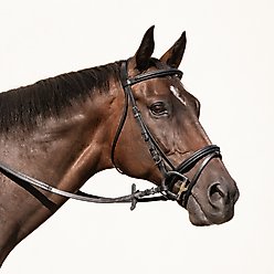 Nunn Finer Charlotte Dressage Horse Bridle, Havana, Cob