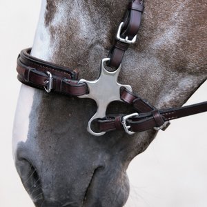 Nunn Finer The Cross Road Hackamore Horse Noseband, Havana, Horse