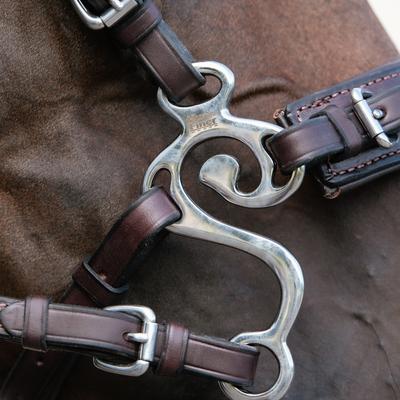 Show full view: Nunn Finer The Seahorse Hackamore Horse Noseband, Havana, Horse slide 3 of 3