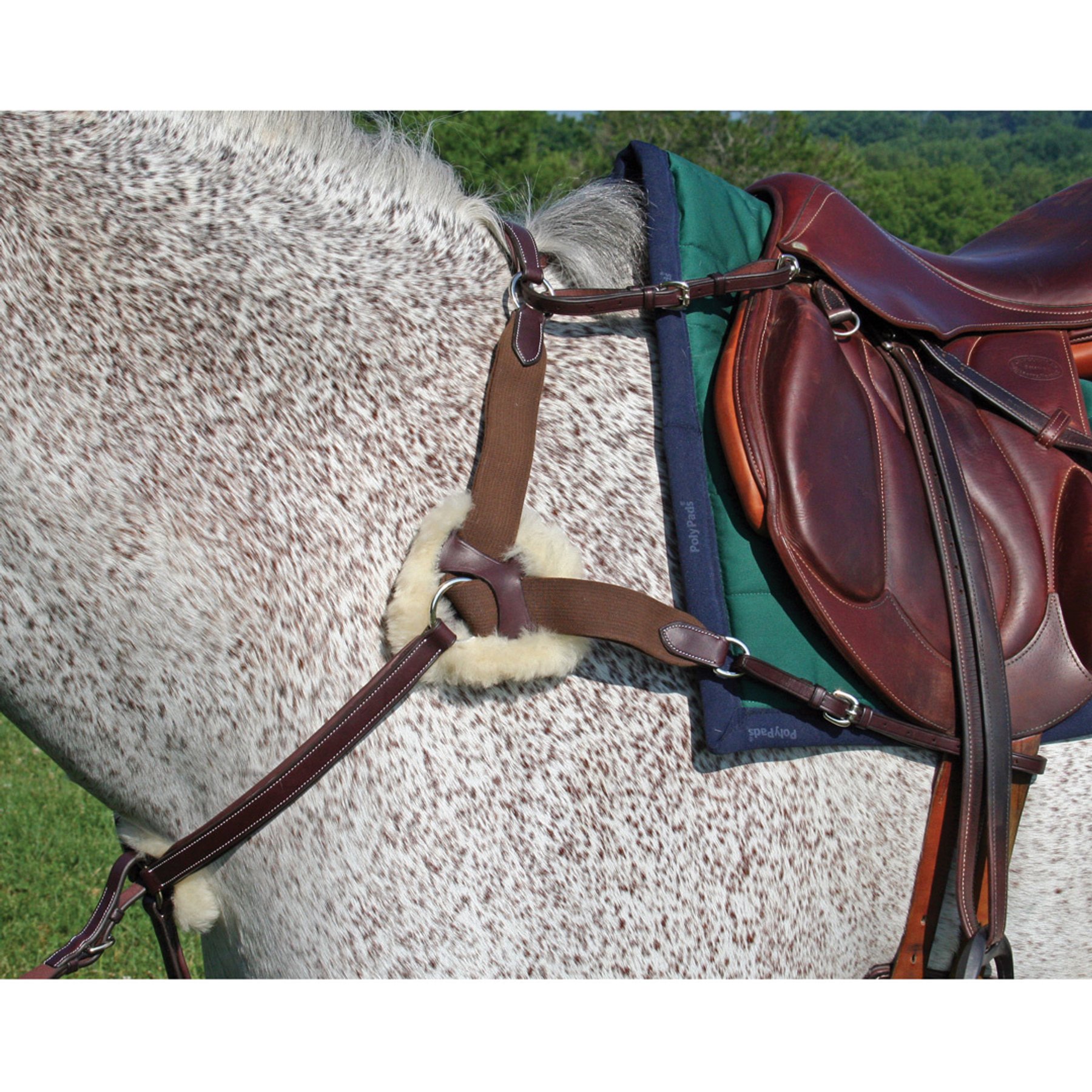 Nunn Finer 5-Way Horse Breastplate, Havana, Horse