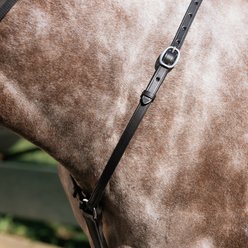 Nunn Finer Hunting Horse Breastplate, Black, Horse