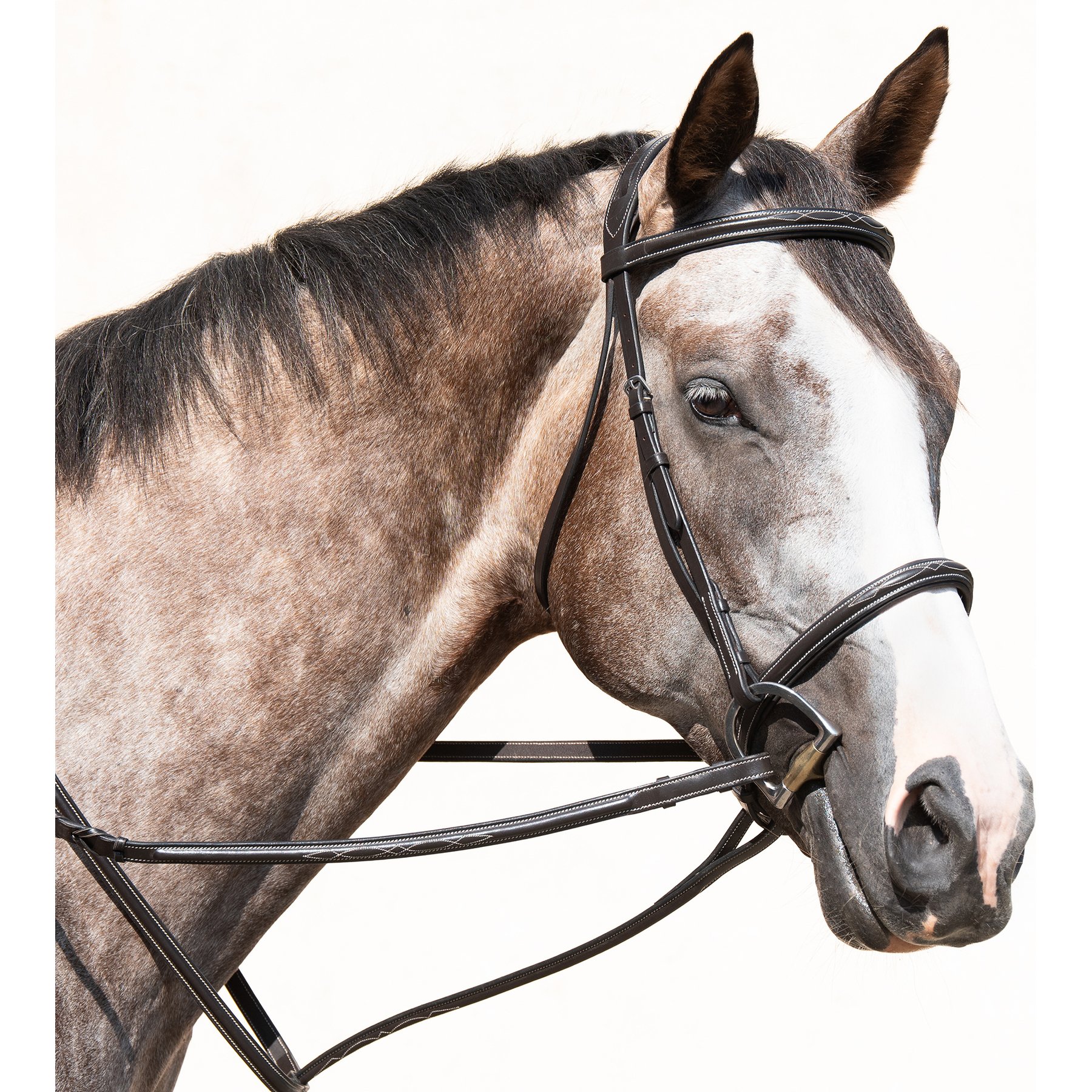 Nunn Finer Elena Horse Bridle, Havana, Oversize