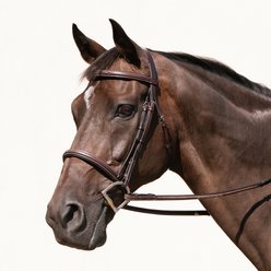 Nunn Finer Giulia Hunter Horse Bridle, Havana, Cob slide 1 of 5