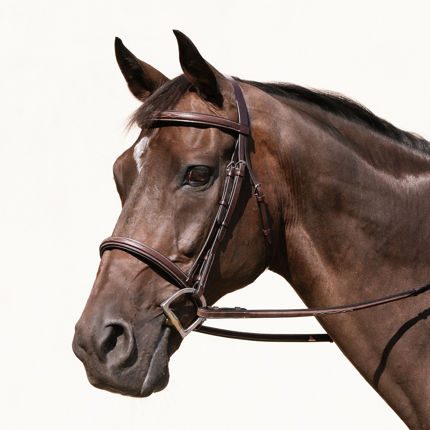 Nunn Finer Giulia Hunter Horse Bridle, Havana, Cob