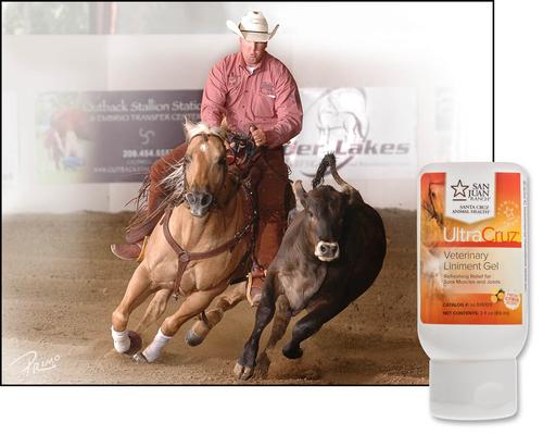 Show full view: UltraCruz Veterinary Horse Liniment Gel, 3-fl oz bottle slide 3 of 3