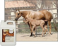 UltraCruz Flax Oil Blend Skin, Coat & Hoof Care Liquid Horse Supplement, 1-gal bottle slide 2 of 4