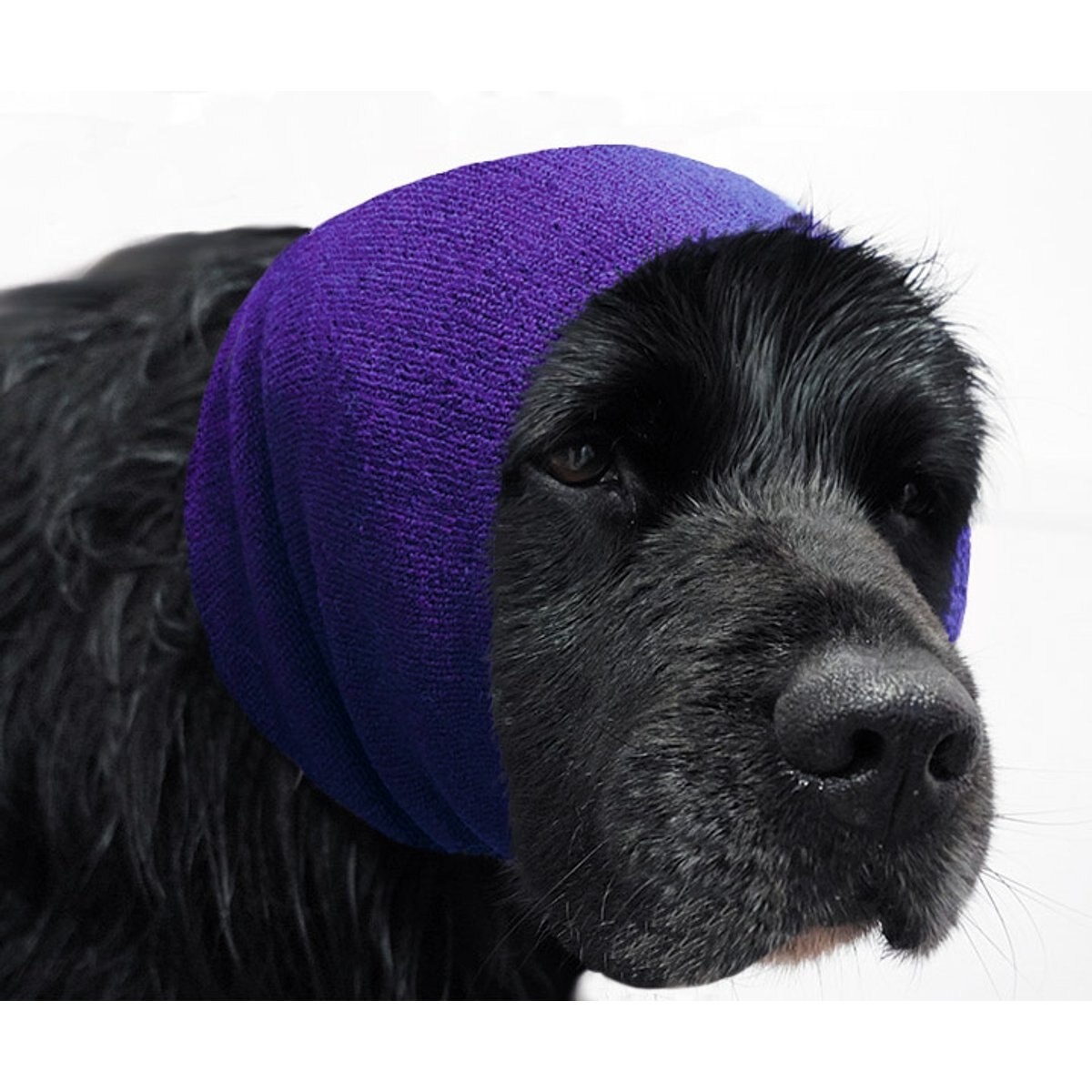 Happy Hoodie Thunder Grooming Fireworks Calming Band for Dogs, X-Large, Purple