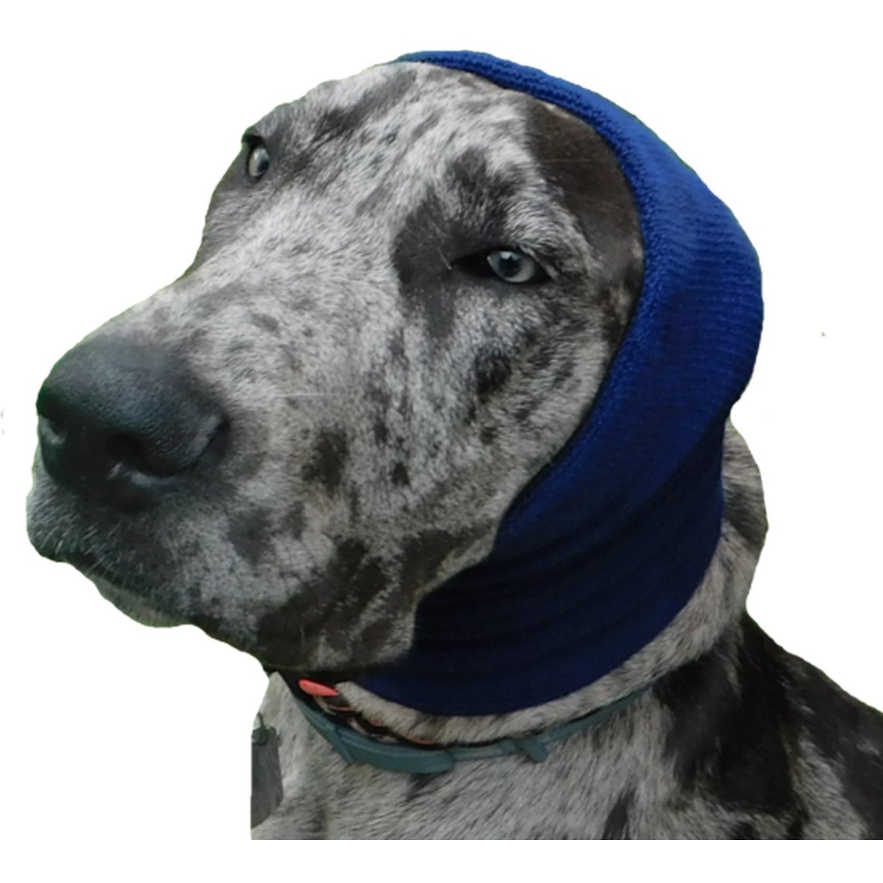 Happy Hoodie Thunder Grooming Fireworks Calming Band for Dogs & Cats, Navy Blue, X-Large