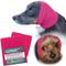 Show in main carousel: Happy Hoodie Thunder Grooming Fireworks Calming Band for Dogs & Cats, Small & Large, 2 count, Pink slide 1 of 13