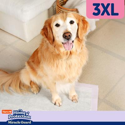 Show full view: Hartz Miracle Guard Lavender Scented Max Absorbency Odor Eliminating Dog Pads, XXX-Large, 20 count slide 6 of 10