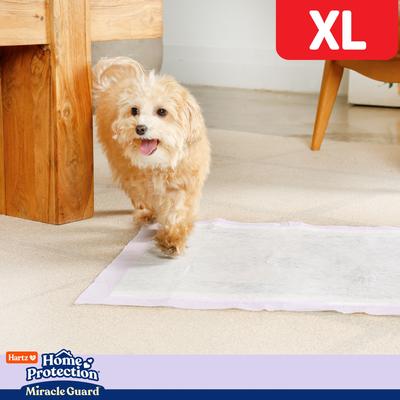 Show full view: Hartz Miracle Guard Lavender Scented Max Absorbency Odor Eliminating Dog Pads, X-Large, 30 count slide 6 of 10