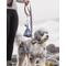 Show in main carousel: Dooloop Dog Waste Bag Holder, City Set, 2 count slide 4 of 8