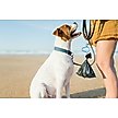 Show in main carousel: Dooloop Dog Waste Bag Holder, City Set, 2 count slide 6 of 8