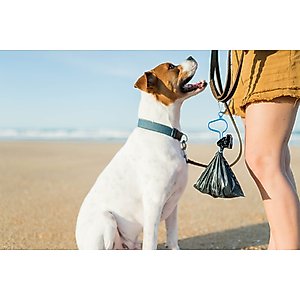 Dooloop Dog Waste Bag Holder, City Set, 2 count