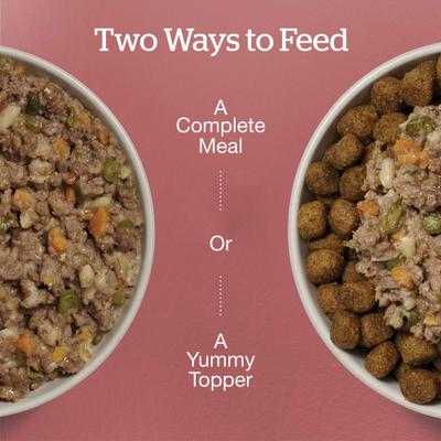 Show full view: Now Fresh Ground Beef & Rice Dinner Wet Dog Food, 2.8-oz pouch, case of 12 slide 6 of 11