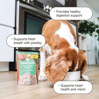 Show full view: Now Fresh Grain-Free Shredded Chicken & Broth Blend Small Breed Wet Dog Food, 2.8-oz pouch, case of 12 slide 4 of 11