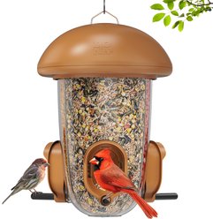 LONA Love Nature Weatherproof Finch Wild Bird Tube Feeder, Brown, 1.3-L