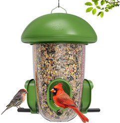 LONA Love Nature Weatherproof Finch Wild Bird Tube Feeder, Green, 1.3-L