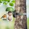 Show in main carousel: LONA Love Nature Durable Easy Hanging System Finch Wild Bird Suet Balls Holder Feeder, Green slide 4 of 6