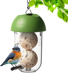 LONA Love Nature Durable Easy Hanging System Finch Wild Bird Suet Balls Holder Feeder, Green