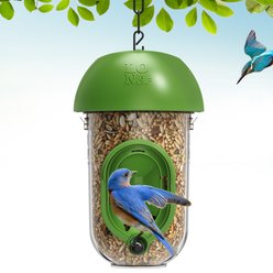 LONA Love Nature 1-Port Finch Wild Bird Tube Feeder, Green, 450-mL