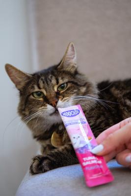 Show full view: Moochie Tuna & Salmon Recipe Lickable Cat Treats, 2.2-lb box, case of 60 slide 5 of 6