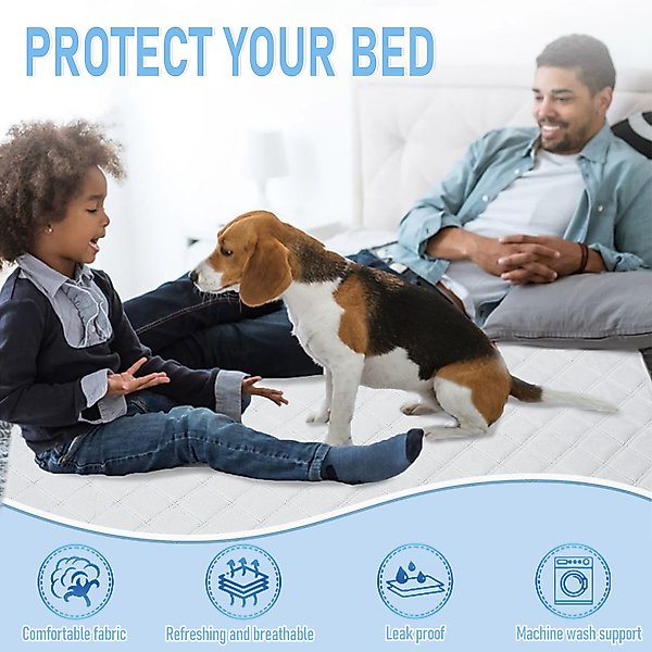 Show full view: Niubya Washable Pee Pads for Dogs, 16 x 24-in, 2 count slide 2 of 8