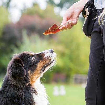 Show full view: Good 'n' Fun Triple Flavor Wings Chicken, Pork & Beef Hide Dog Chews, 24-oz bag slide 7 of 11