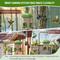 Show in main carousel: LONA Love Nature Weatherproof Finch Wild Bird Tube Feeder, Green, 1.3-L slide 3 of 9