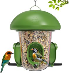 LONA Love Nature Weatherproof Finch Wild Bird Tube Feeder, Green, 800-mL