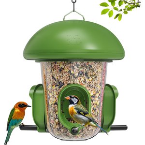 LONA Love Nature Weatherproof Finch Wild Bird Tube Feeder, Green, 800-mL