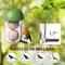 Show in main carousel: LONA Love Nature Durable Easy Hanging System Finch Wild Bird Suet Balls Holder Feeder, Green slide 3 of 6