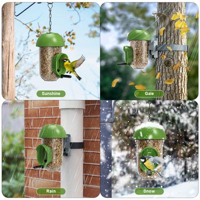 Show full view: LONA Love Nature 1-Port Finch Wild Bird Tube Feeder, Green, 450-mL slide 4 of 8