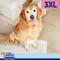 Show in main carousel: Hartz Miracle Guard Max Absorbency Odor Eliminating Dog Pads, XXX-Large, 20 count slide 6 of 11