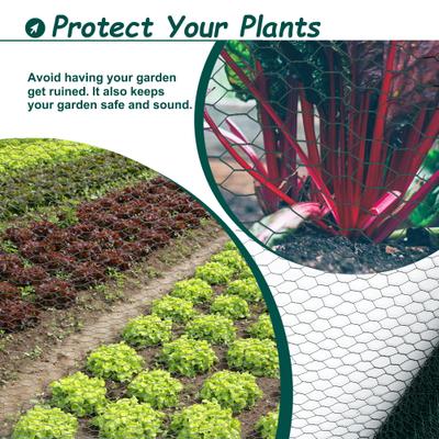 Show full view: LIZEVINC Galvanized Hexagonal Dog Fence & Chicken Wire, Green, 197-ft slide 7 of 8