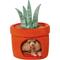 Show in main carousel: Frisco Snake Plant Covered Cat & Dog Bed with Removable Leaf Toy slide 3 of 8