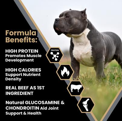 Show full view: VICTOR Bully Fuel High Protein Gluten-Free Beef & Chicken Dry Dog Food, 40-lb bag slide 3 of 11