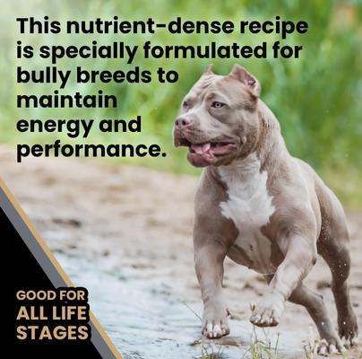 Show full view: VICTOR Bully Fuel High Protein Gluten-Free Beef & Chicken Dry Dog Food, 40-lb bag slide 5 of 11